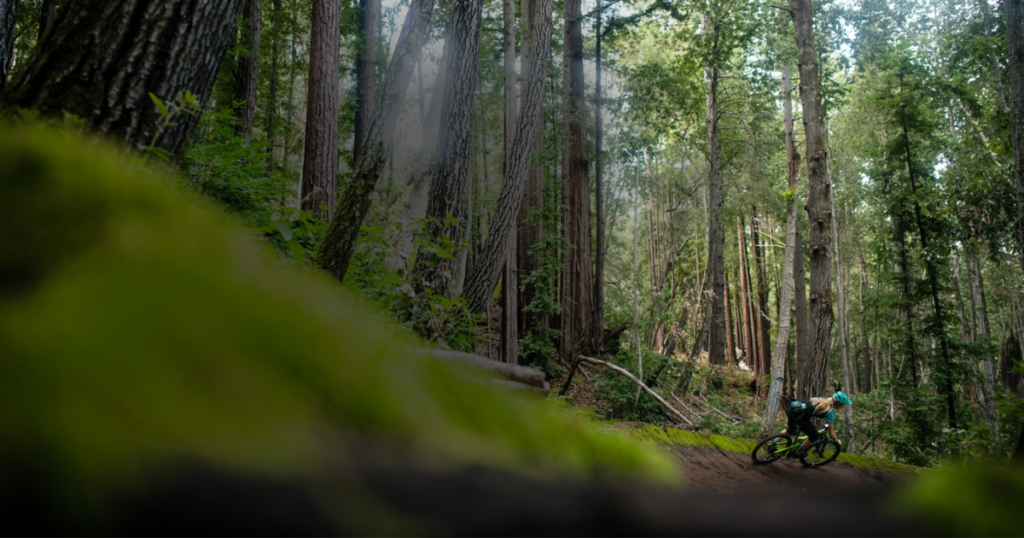 California AB 2494: A Historic Shift for Our Trails and Open Spaces