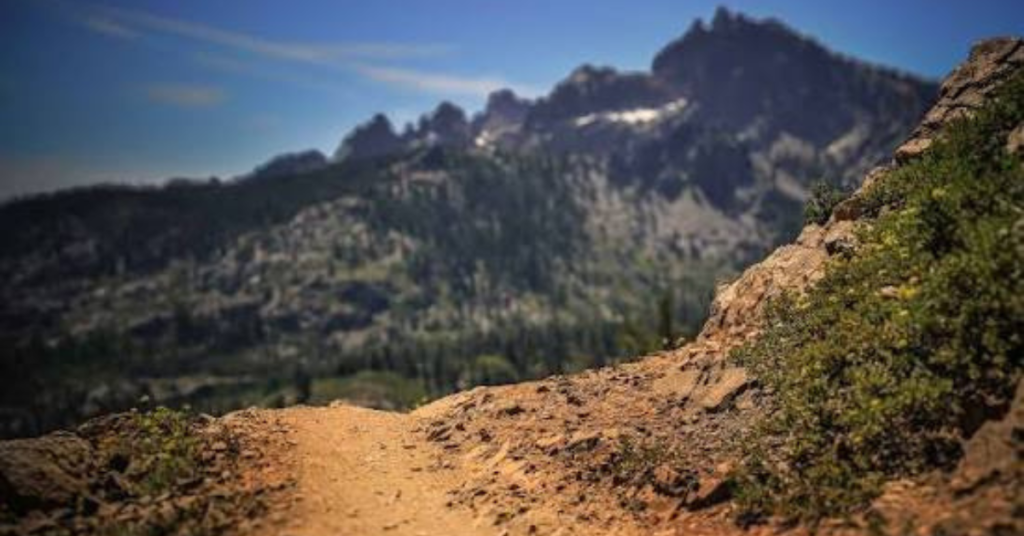 The USFS Travel Management Rule Is Being Rewritten